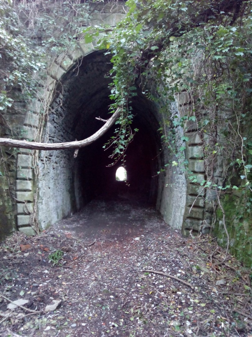 I resti della ferrovia a scartamento ridotto da Arezzo a Fossato